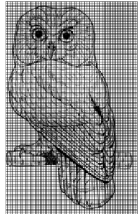 owlgrid1