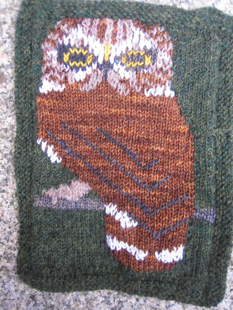 intarsia owl embroidered in duplicate stitch (Swiss Darning)