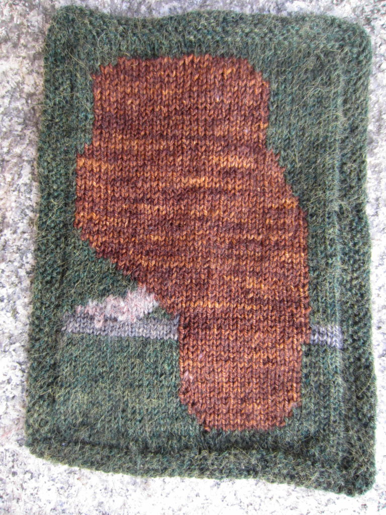 Owl knit in intarsia