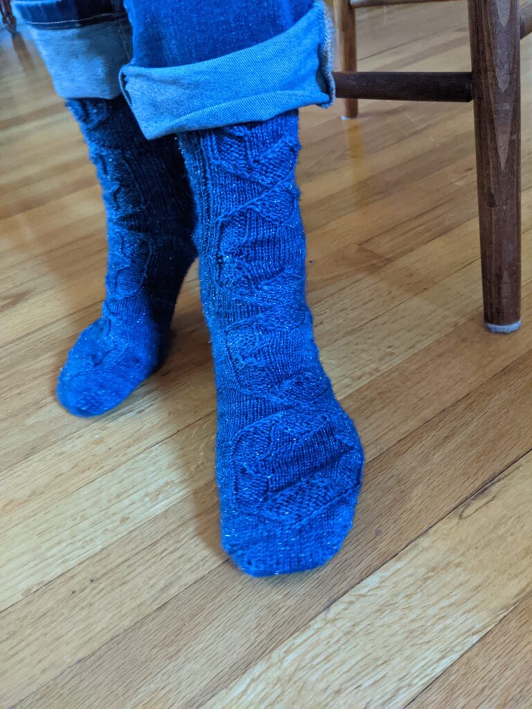 Achird socks shown in Anzula Nebula Blueberry yarn